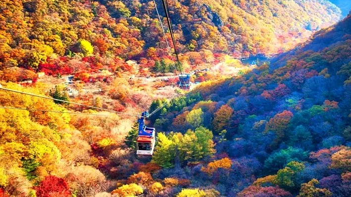 내장산케이블카 / 사진=ⓒ한국관광공사 IR 스튜디오