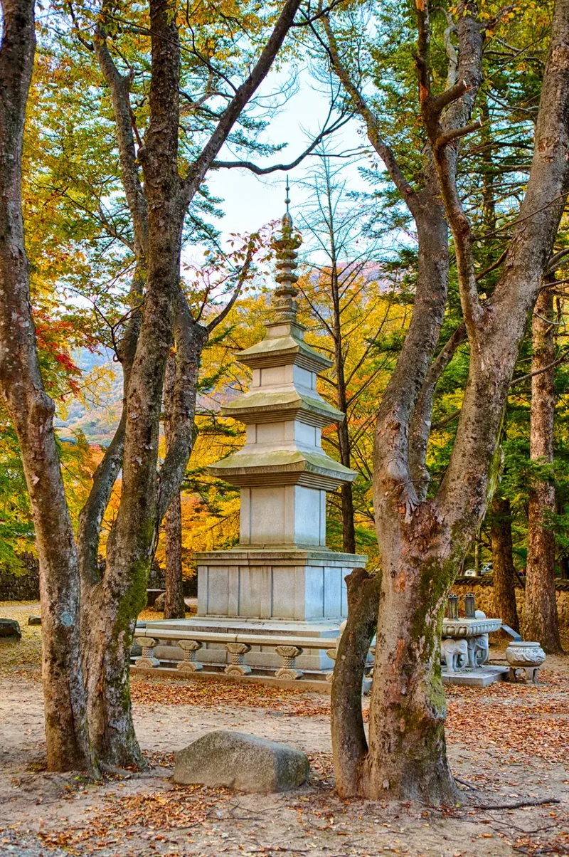 내장사
