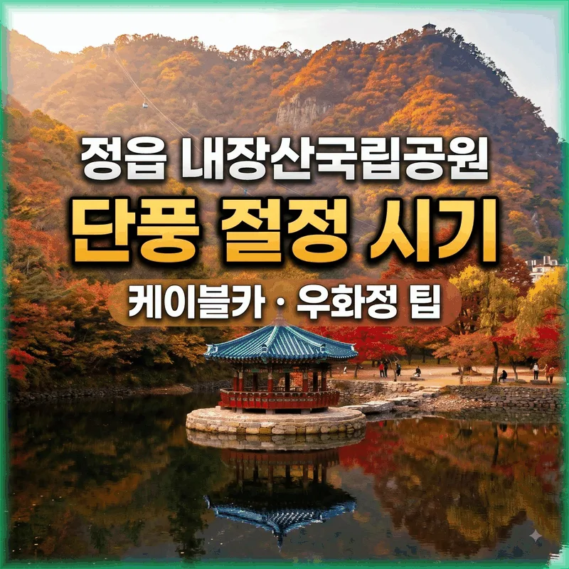 정읍 내장산국립공원 단풍 절정 시기 케이블카 우화정 팁
