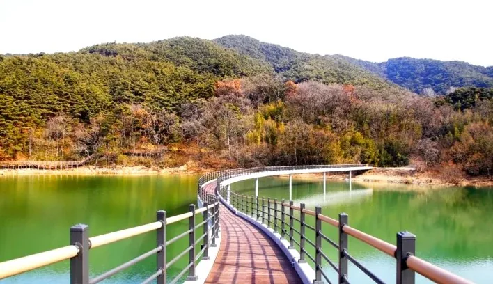 미르샘다리 데크길 / 사진=정읍시 공식 블로그