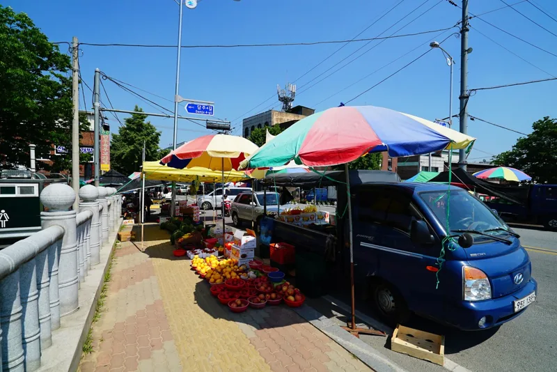 담양오일장