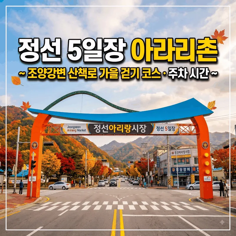정선 5일장 아라리촌 ~ 조양강변 산책로 가을 걷기 코스 주차 시간