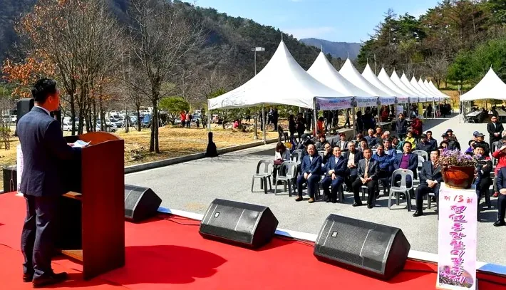 지난 정선동강할미꽃축제 모습 / 사진=정선군