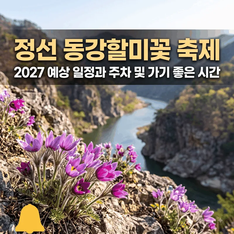 정선 동강할미꽃 축제 2027 예상 일정과 주차 및 가기 좋은 시간