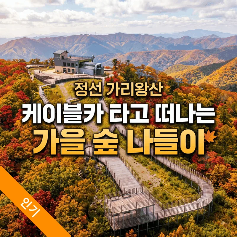 정선 가리왕산 케이블카 타고 떠나는 가을 숲 나들이