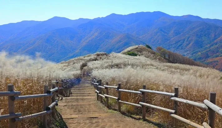 민둥산 가을 전경 / 사진=게티이미지뱅크