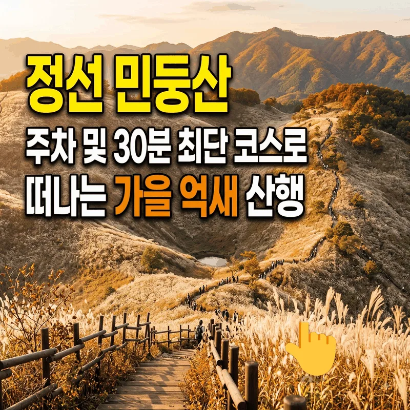 정선 민둥산 주차 및 30분 최단 코스로 떠나는 가을 억새 산행