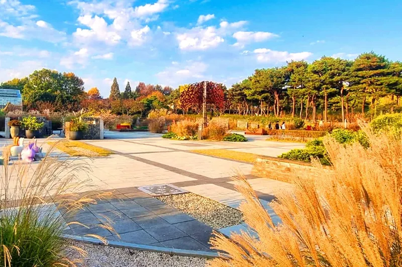 한국도로공사 전주수목원 가을 억새 / 사진=비짓전주