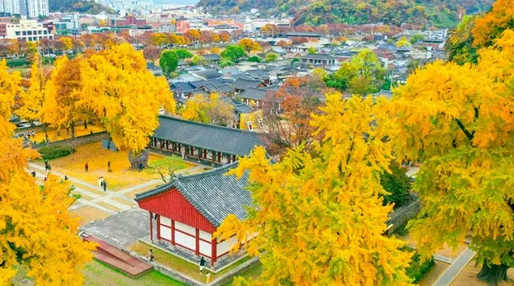 전주향교 가을 전경 / 사진=전주시 공식 블로그 덕기