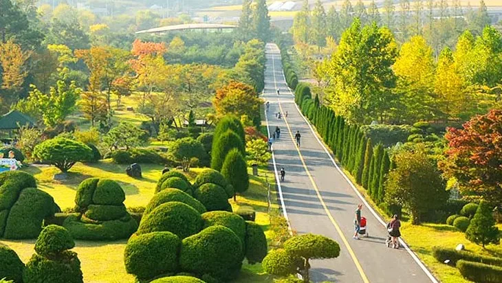 산림연구원 향나무길 / 사진=전남광주통합특별시산림연구원