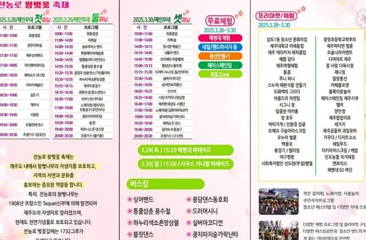 제주 전농로 왕벚꽃 포스터2 / 사진=비짓 제주