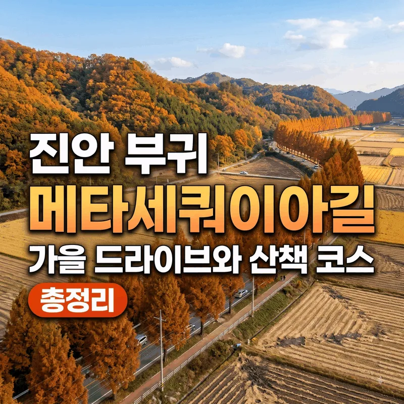 진안 부귀 메타세쿼이아길 가을 드라이브와 산책 코스 총정리