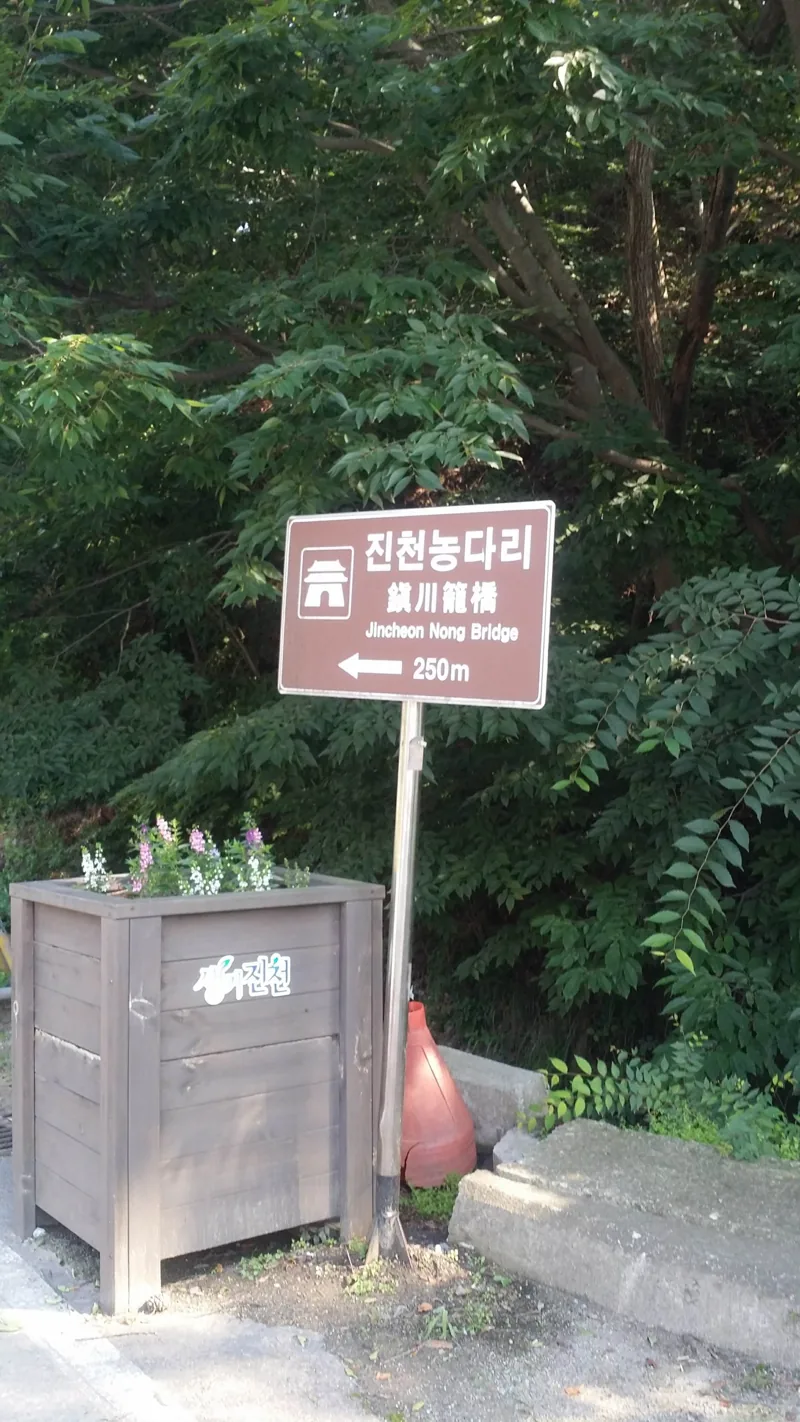 Jincheon Nongdari Bridge 20200716 155633