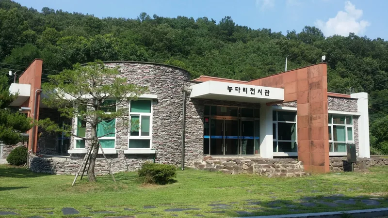 Jincheon Nongdari Bridge 20200716 155648
