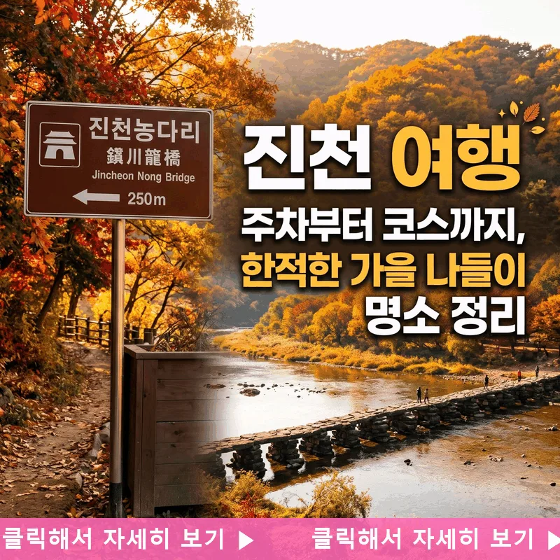 진천 여행 주차부터 코스까지, 한적한 가을 나들이 명소 정리