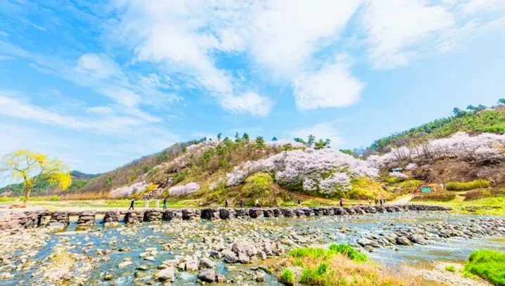 진천 농다리 봄 풍경 / 사진=진천 농다리