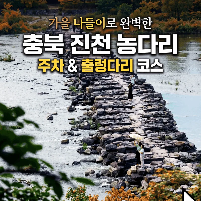 가을 나들이로 완벽한 충북 진천 농다리 주차와 출렁다리 코스