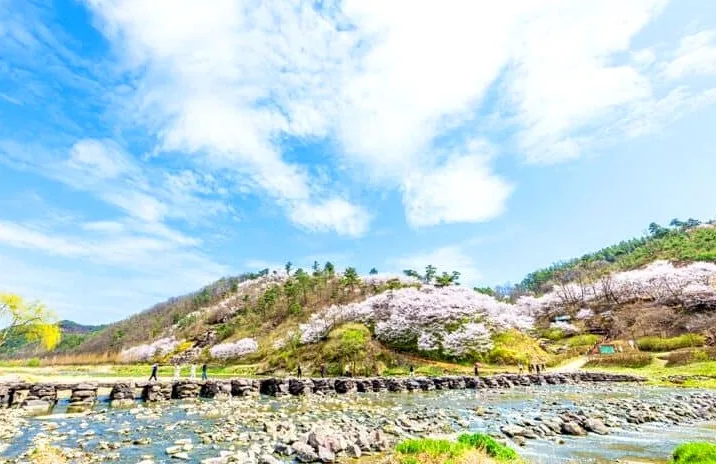 진천 농다리 봄 / 사진= 진천관광