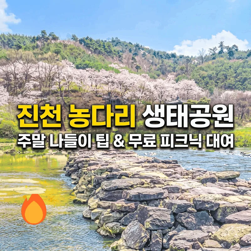 진천 농다리 생태공원 주말 나들이 꿀팁과 무료 피크닉 대여