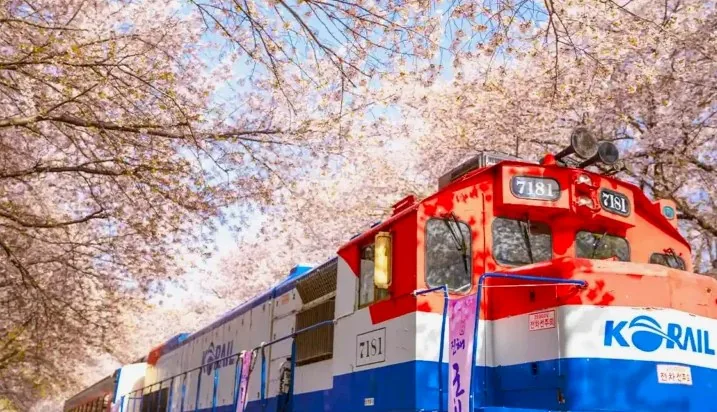 진해군항제 열차 / 사진=게티이미지뱅크
