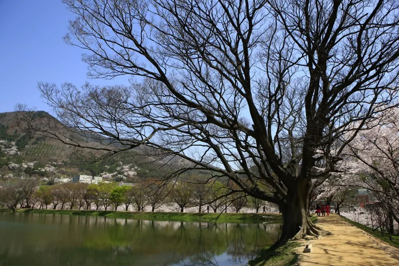 내수면환경생태공원