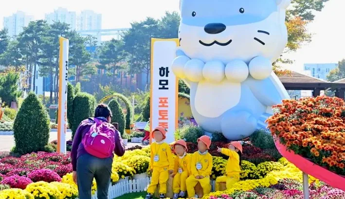 진주국화작품전시회 / 사진=진주시