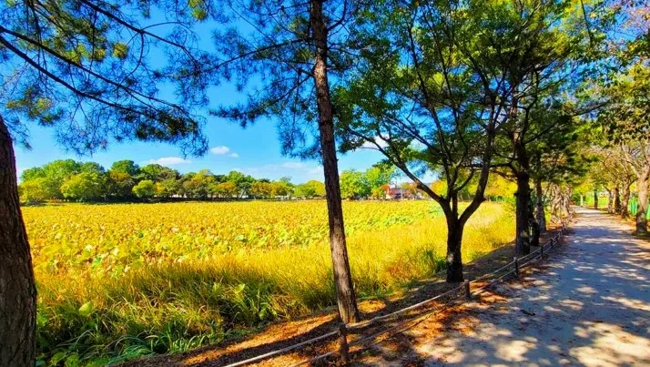 강주연못 산책길 / 사진=진주 공식블로그 김종신