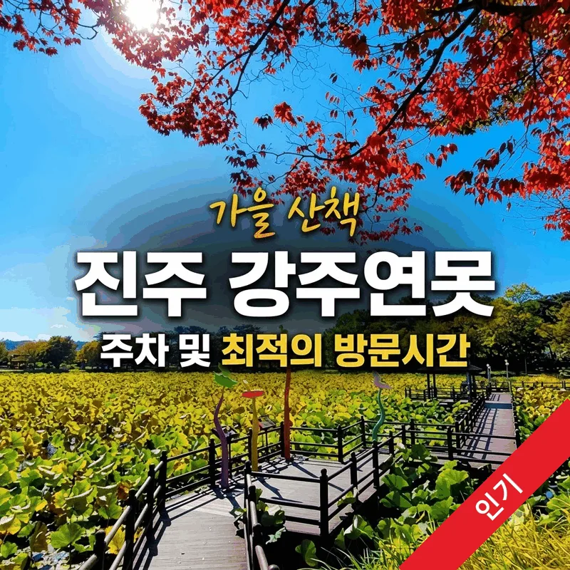 진주 강주연못 주차와 가기 좋은 시간 정리한 가을 산책