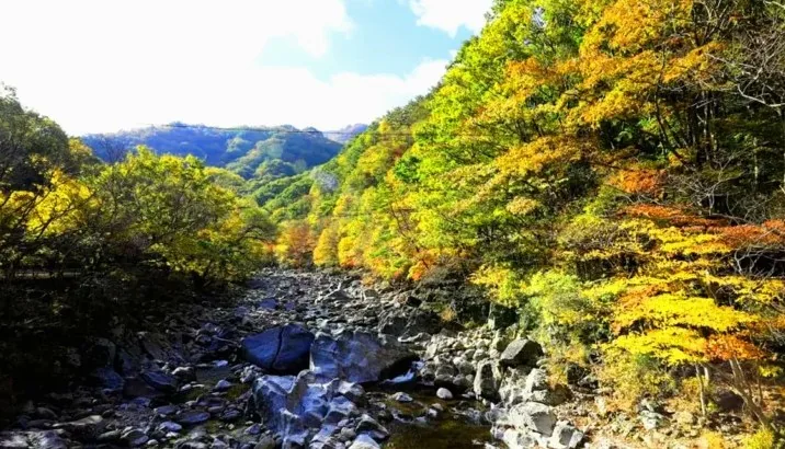 지리산 뱀사골 계곡 / 사진=전북특별자치도 공식 블로그
