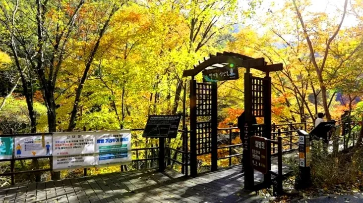 지리산 뱀사골 신선길 입구 / 사진=전북특별자치도 공식 블로그