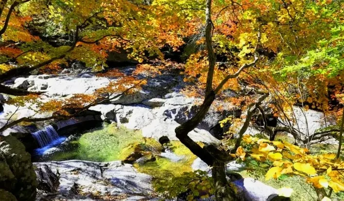 뱀사골 계곡 단풍 / 사진=전북특별자치도 공식 블로그