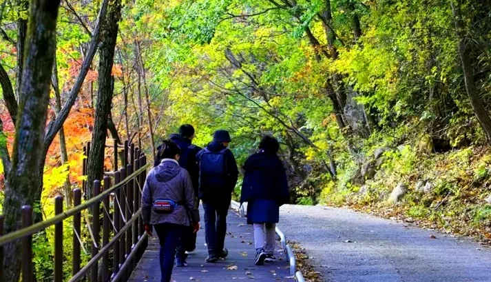 지리산 뱀사골 신선길 단풍 / 사진=전북특별자치도 공식 블로그