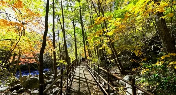 지리산 뱀사골 신선길 / 사진=전북특별자치도 공식 블로그