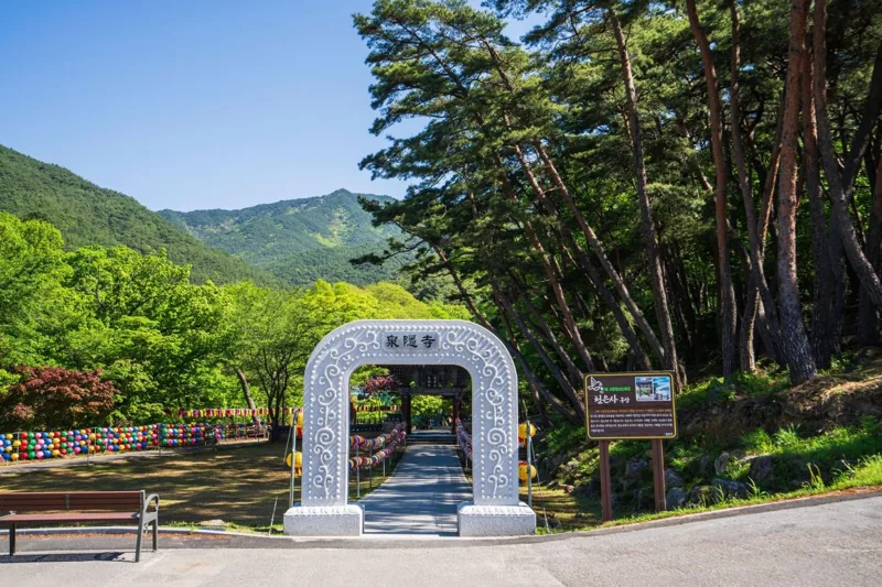 구례 천은사