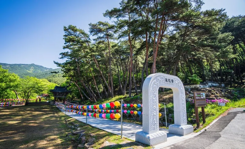 구례 천은사