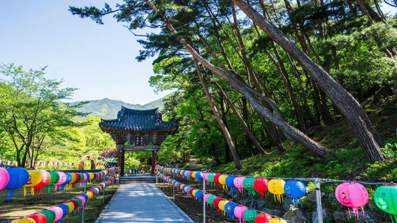 구례 천은사