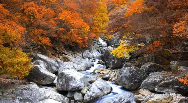 지리산 뱀사골 단풍 / 사진=게티이미지뱅크