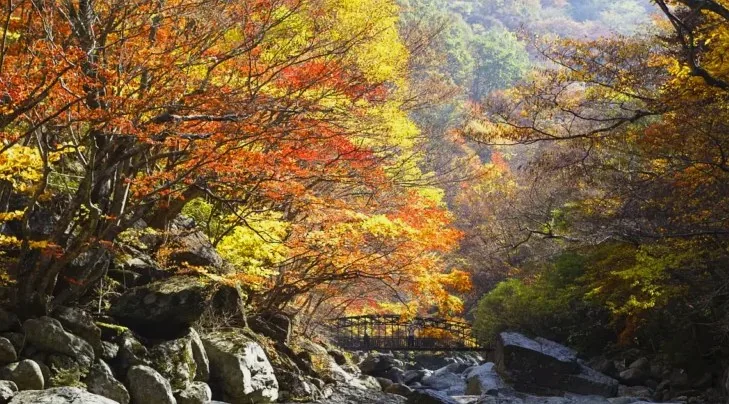 지리산 뱀사골 / 사진=게티이미지뱅크