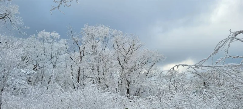 지리산의 겨울