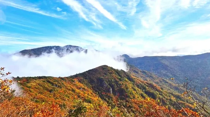 지리산 반야봉 가을 풍경 / 사진=국립공원 공식 블로그
