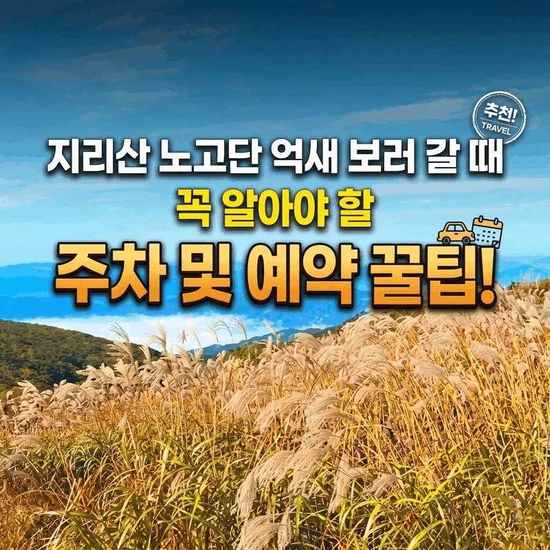 지리산 노고단 억새 보러 갈 때 꼭 알아야 할 주차와 예약 팁