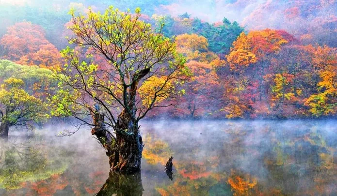 주왕산 주산지 / 사진=한국관광콘텐츠랩