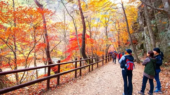 주왕산 탐방로 / 사진=한국관광콘텐츠랩