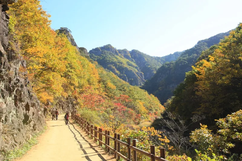 주왕산국립공원