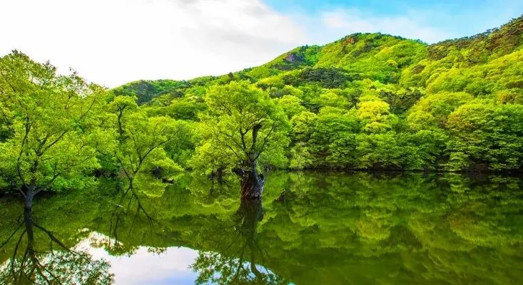 주산지 / 사진=게티이미지뱅크