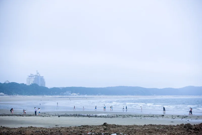 꽃지해수욕장