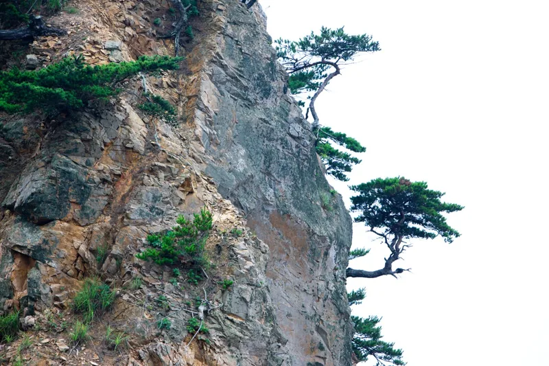 꽃지해수욕장