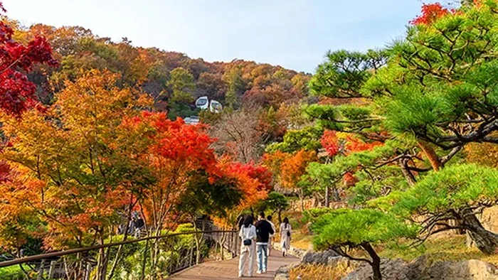 화담숲 모습 / 사진=곤지암리조트