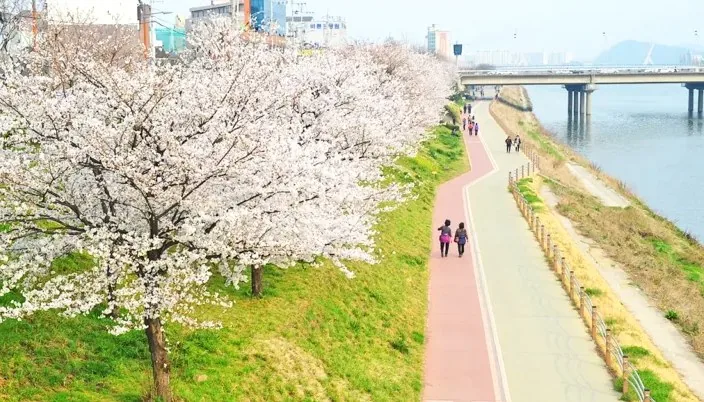 금호강자연생태공원 / 사진=대구문화예술진흥원