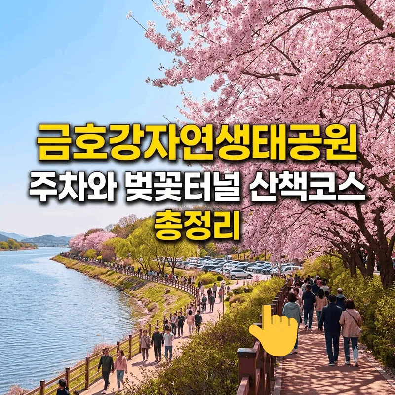 금호강자연생태공원 주차와 벚꽃 터널 산책 코스 총정리